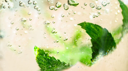 Omega-Powered Body Care: Meet Our New Limited Edition Hemp Seed Body Oil
