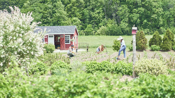 Life On The Farm