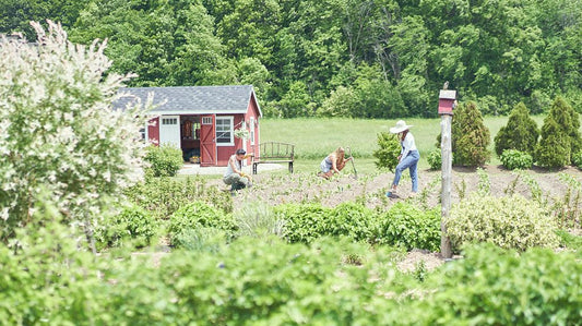 Life On The Farm