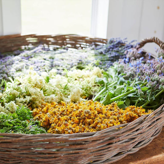 From Soil To Skincare: The Making of our Farm Beauty Complex